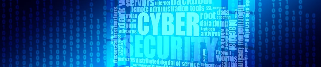 cyber risk banner.png