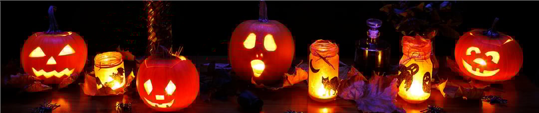 pumpkins banner.png