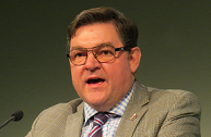 david woolcock