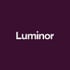 Luminor Bank Logo Treasury System Customer